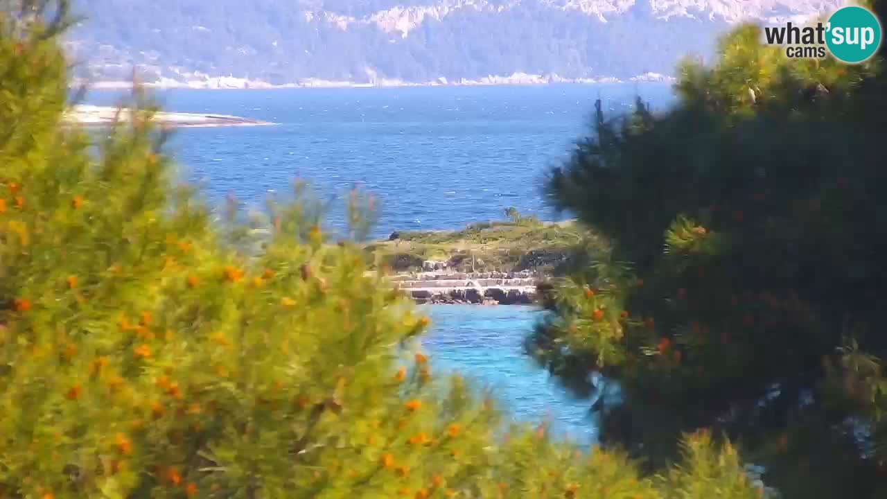 Lumbarda Resort camera en vivo Korčula