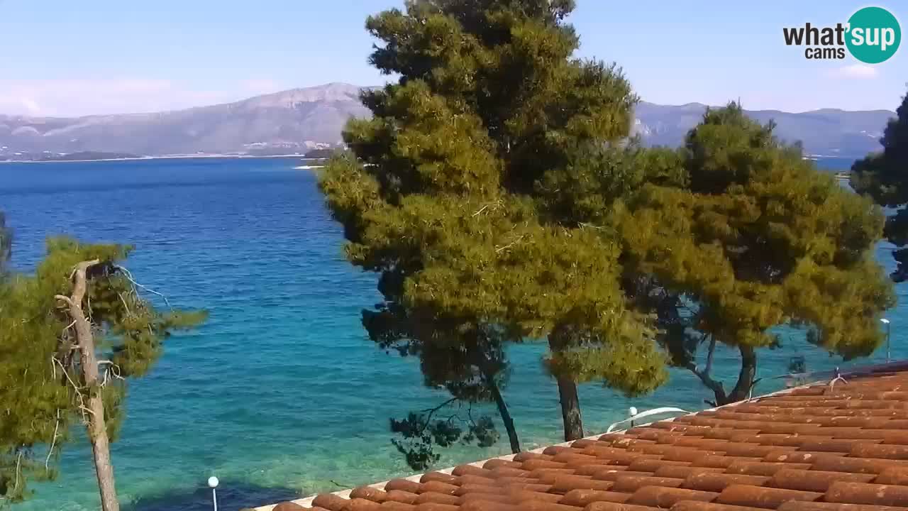 Lumbarda resort Webcam Korčula
