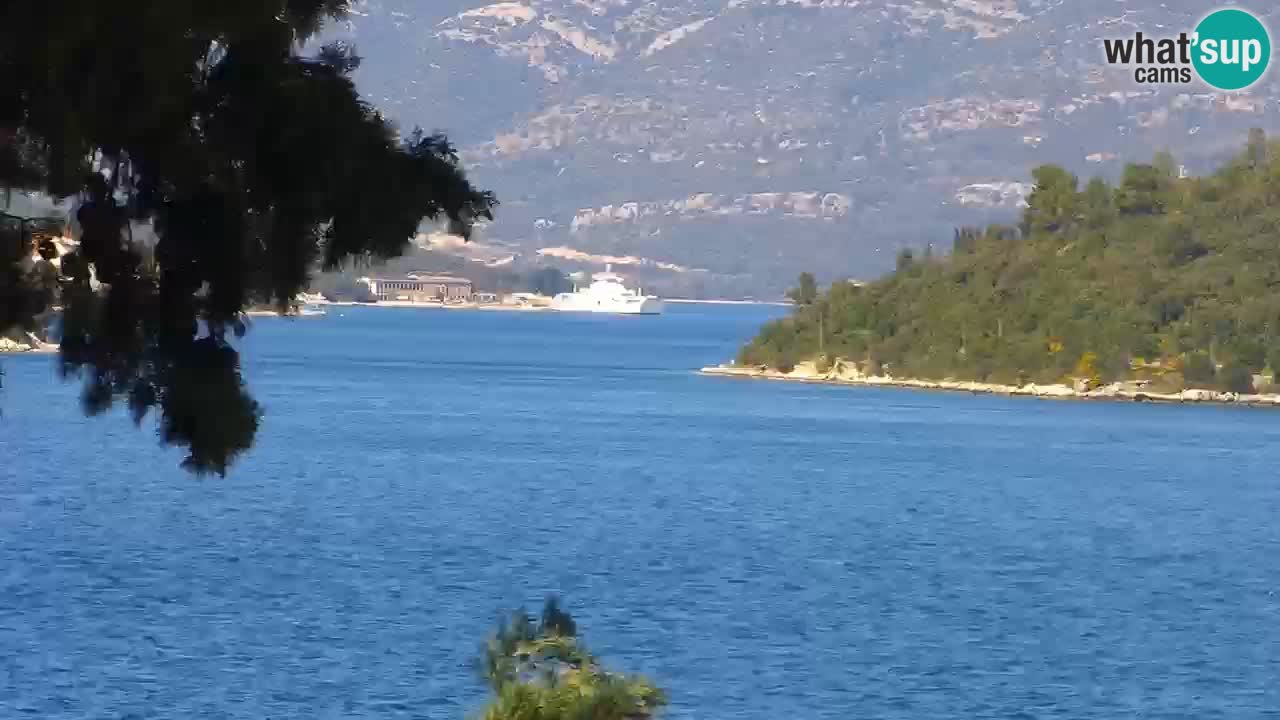 Lumbarda resort Webcam Korčula