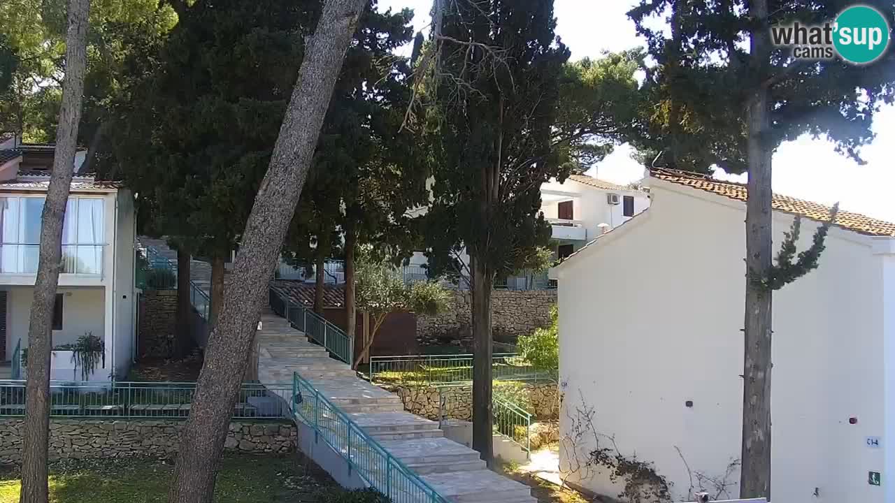 Lumbarda resort Spletna kamera Korčula
