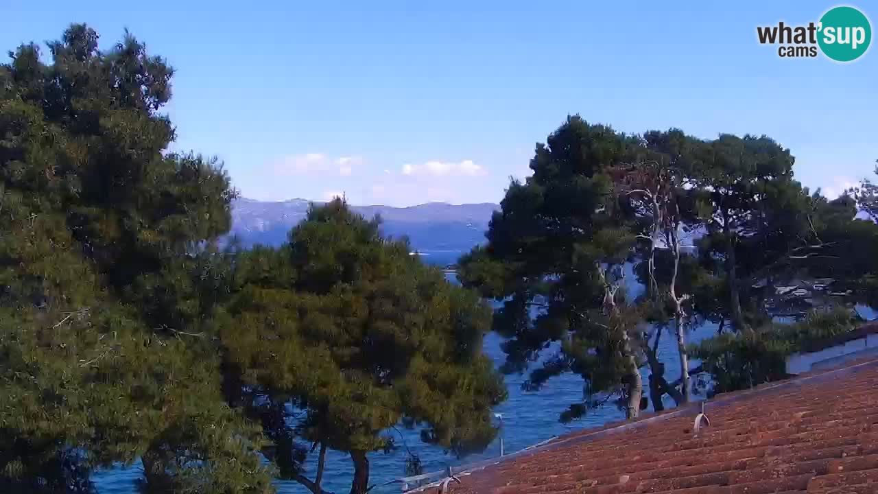 Lumbarda resort Web Kamera Korčula