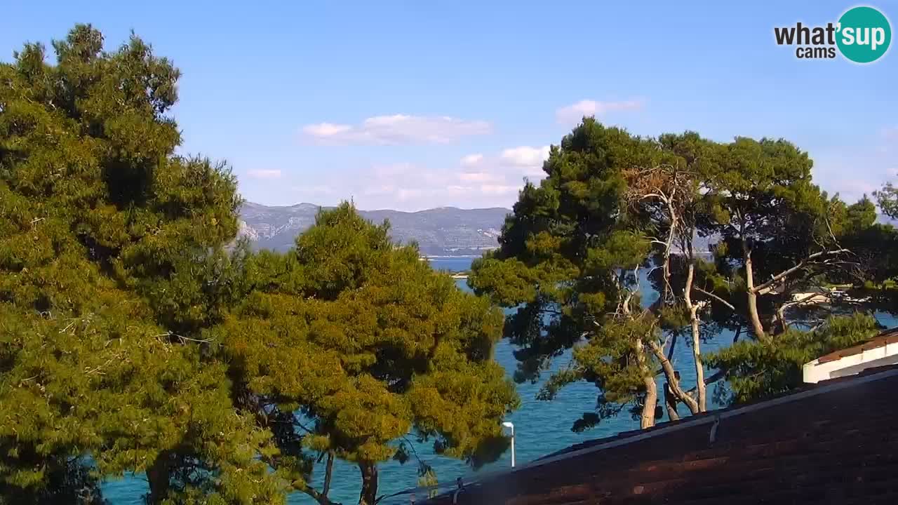 Lumbarda resort – livecam Korčula