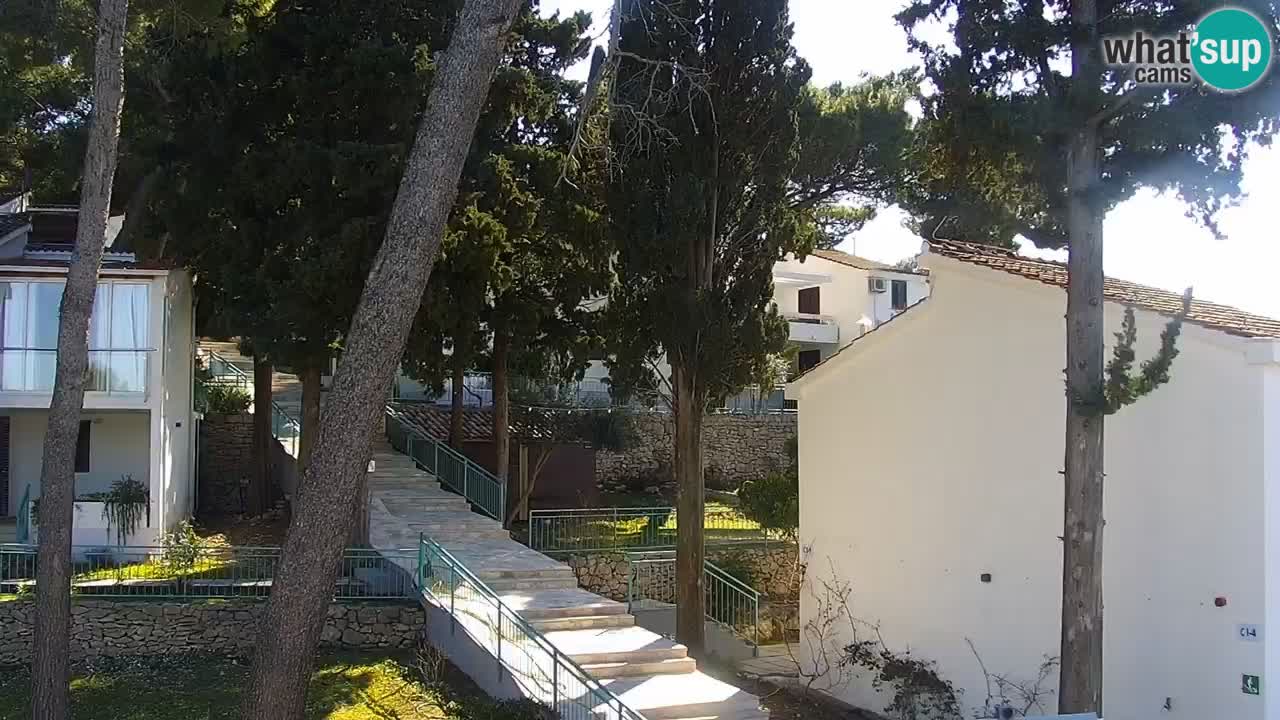 Lumbarda resort Spletna kamera Korčula