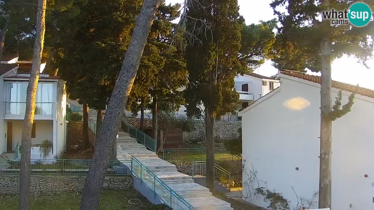 Lumbarda Resort camera en vivo Korčula