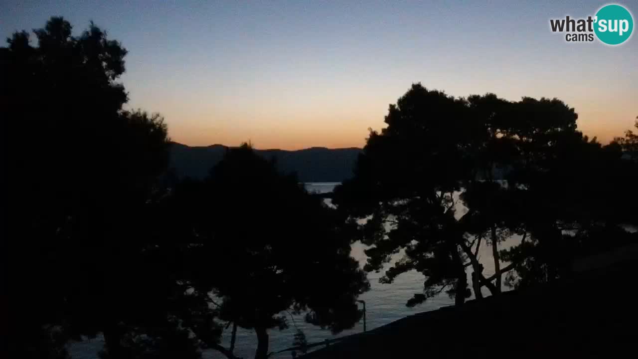 Lumbarda Resort live cam Curzola
