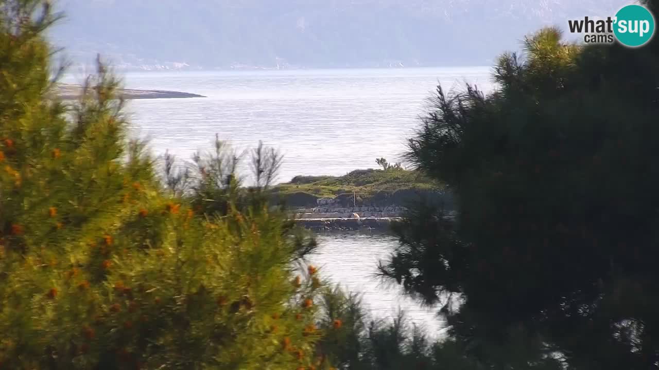 Lumbarda resort Webcam Korčula