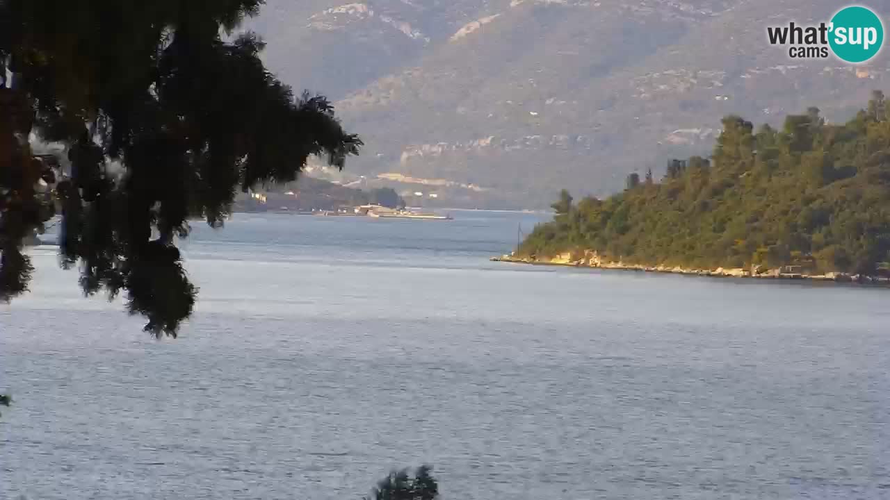 Lumbarda resort Spletna kamera Korčula