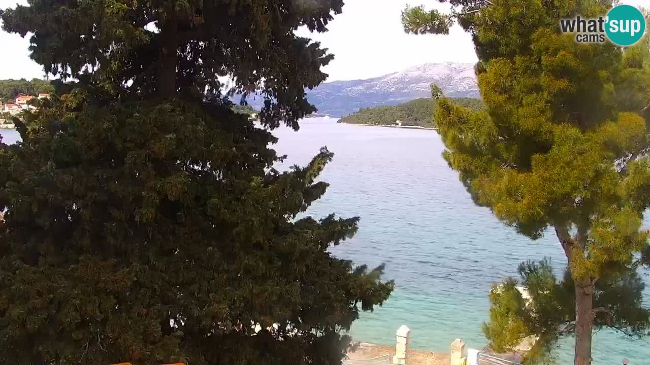 Lumbarda resort Spletna kamera Korčula