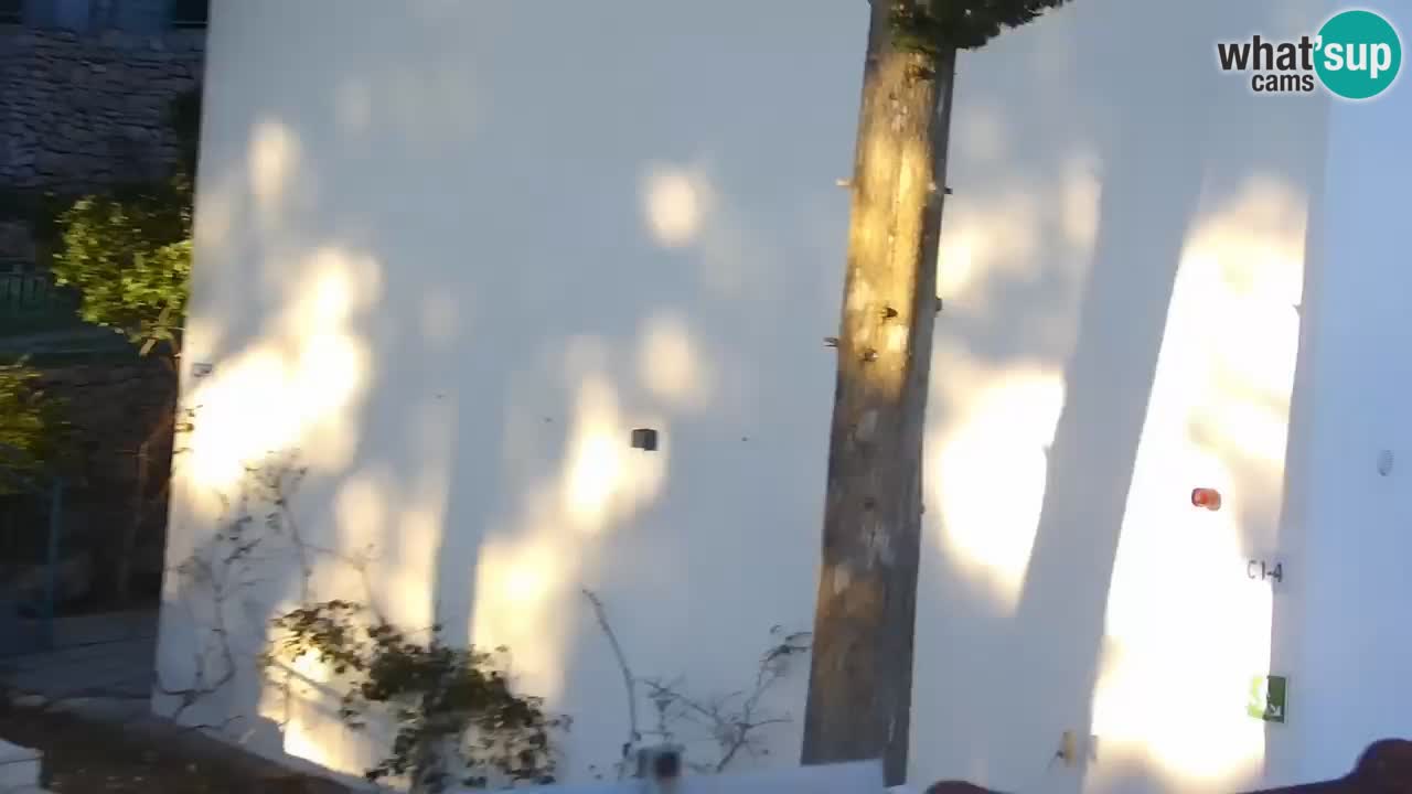 Lumbarda resort Webcam Korčula