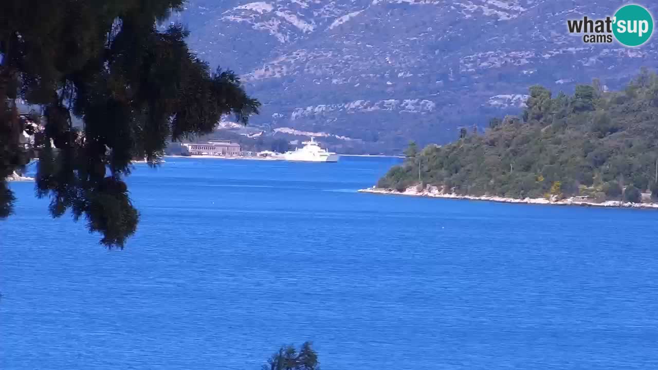 Lumbarda resort – livecam Korčula