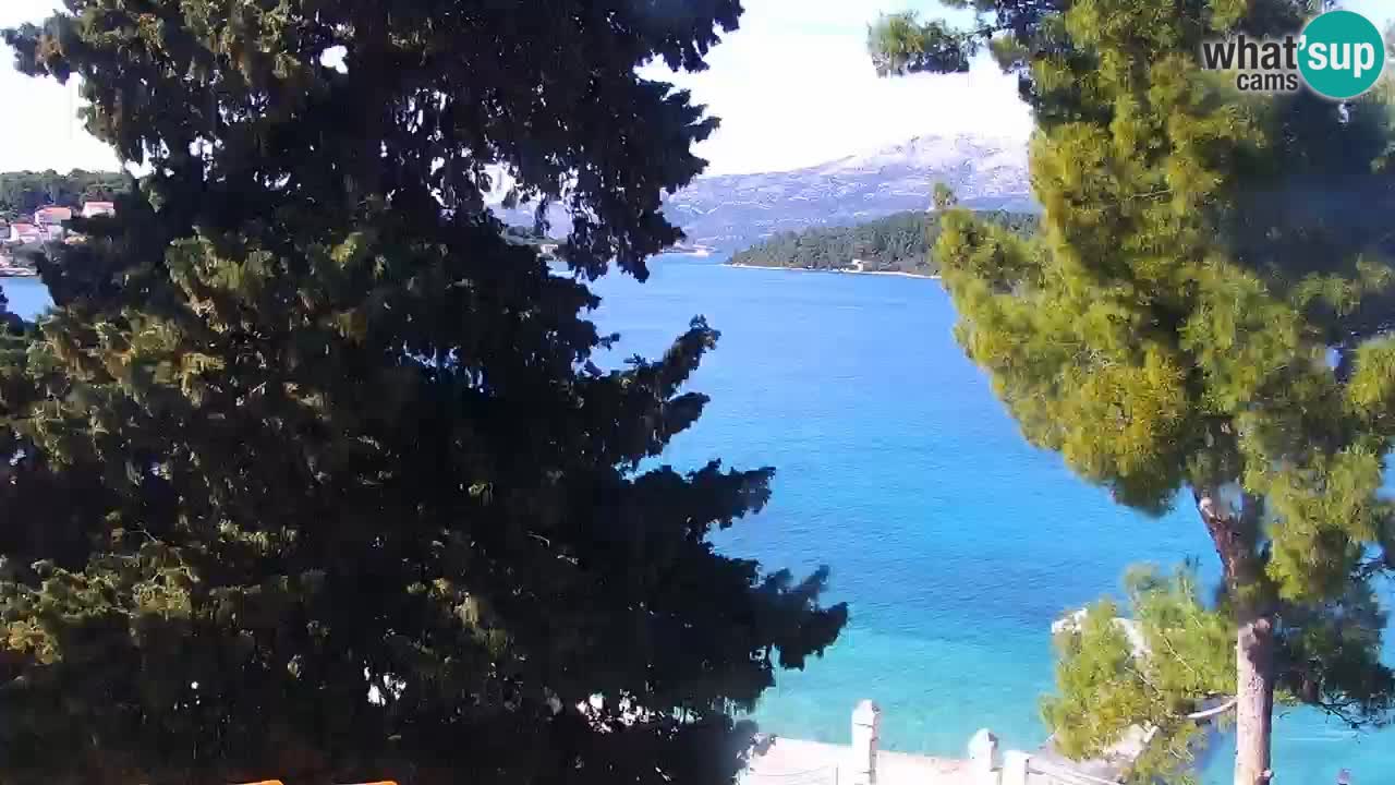 Lumbarda resort – livecam Korčula