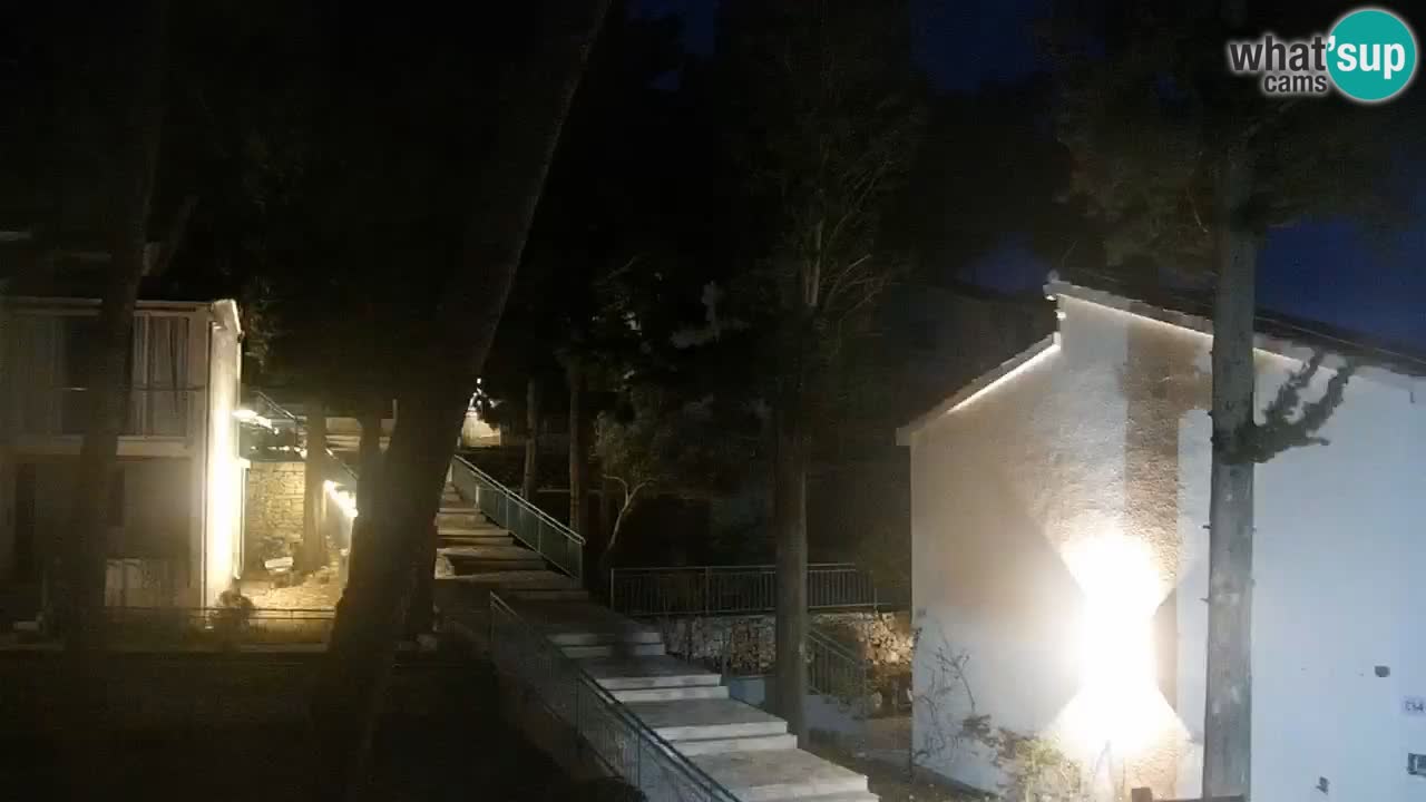 Lumbarda resort Spletna kamera Korčula