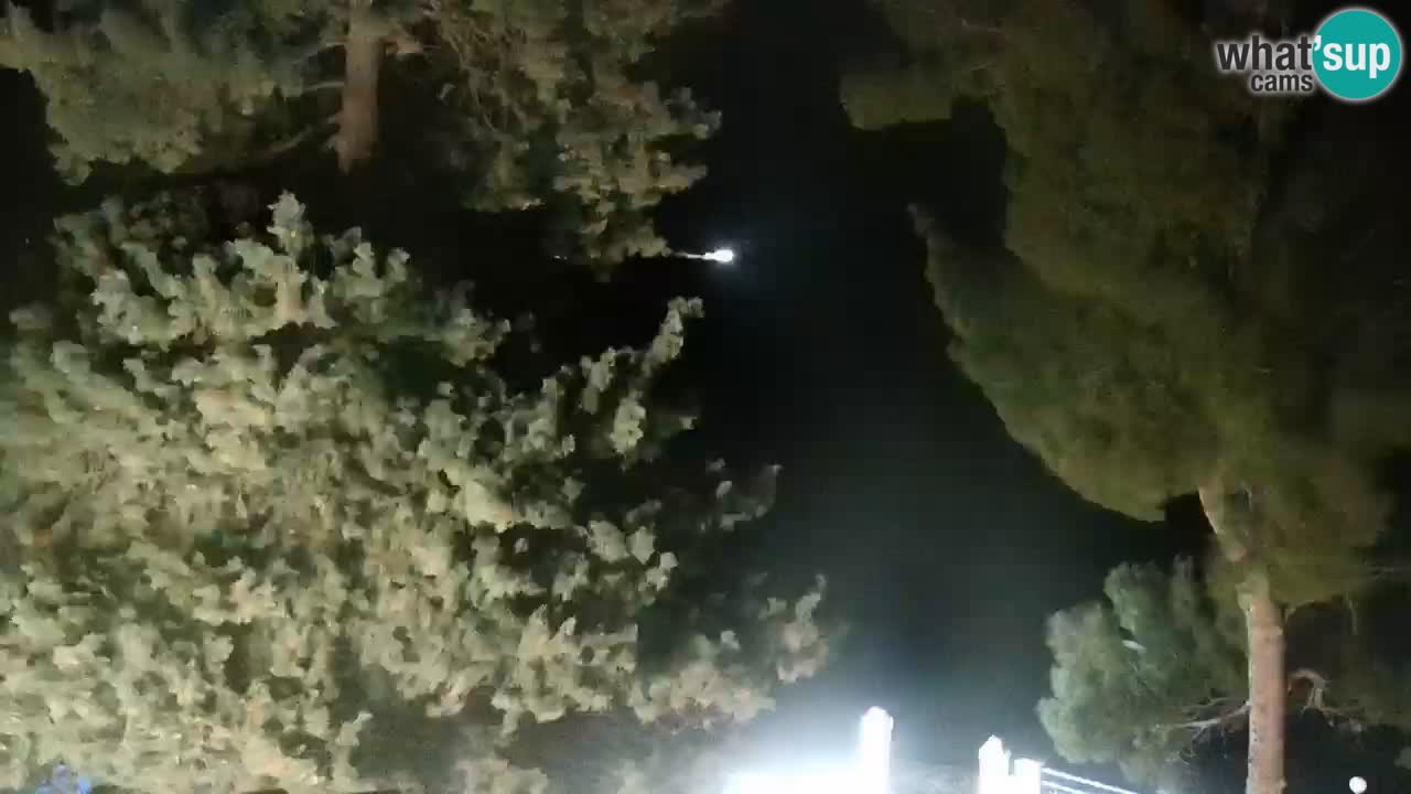 Lumbarda resort Spletna kamera Korčula