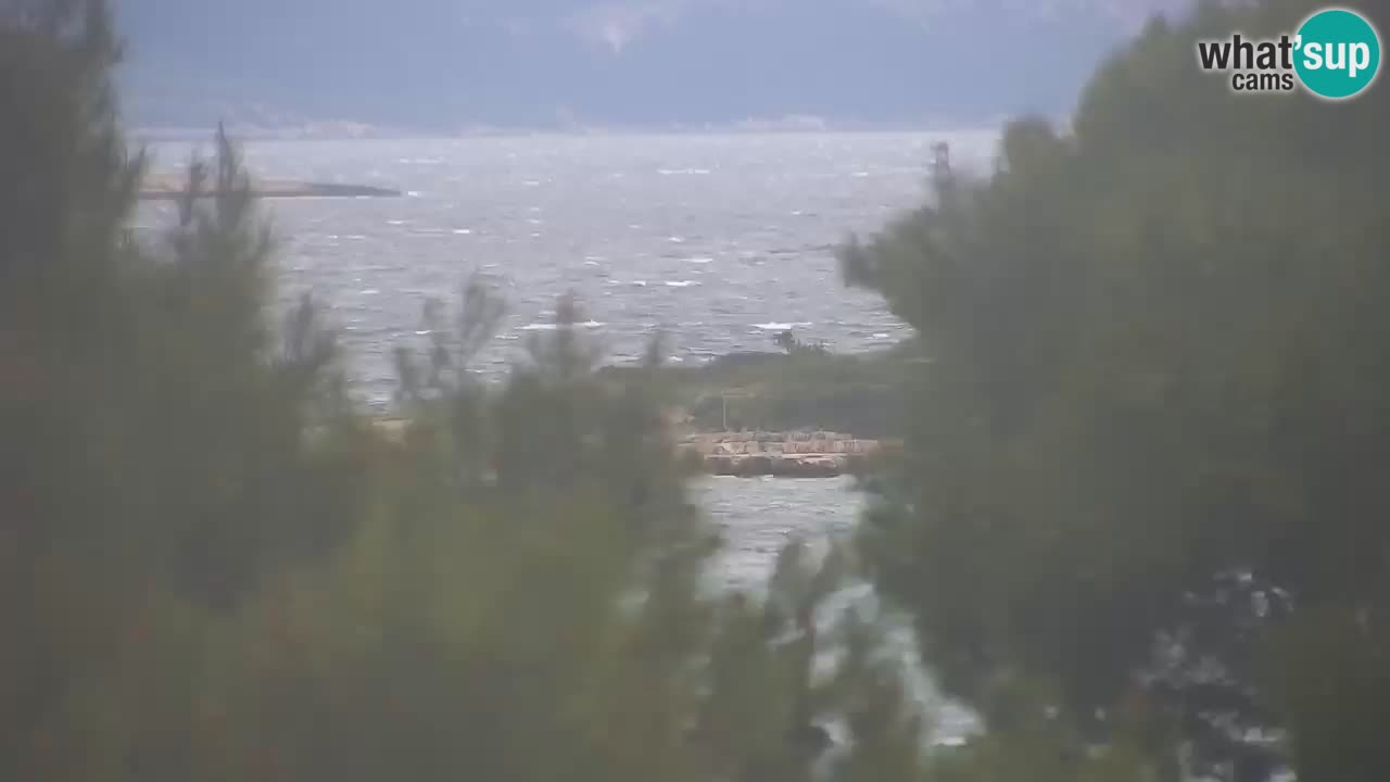 Lumbarda resort Spletna kamera Korčula