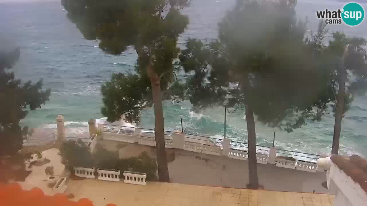Lumbarda resort Webcam Korčula