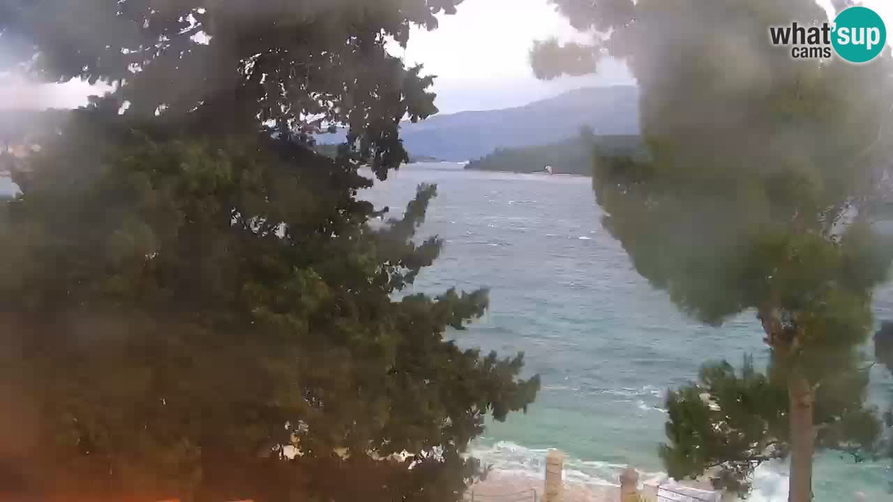 Lumbarda resort Spletna kamera Korčula