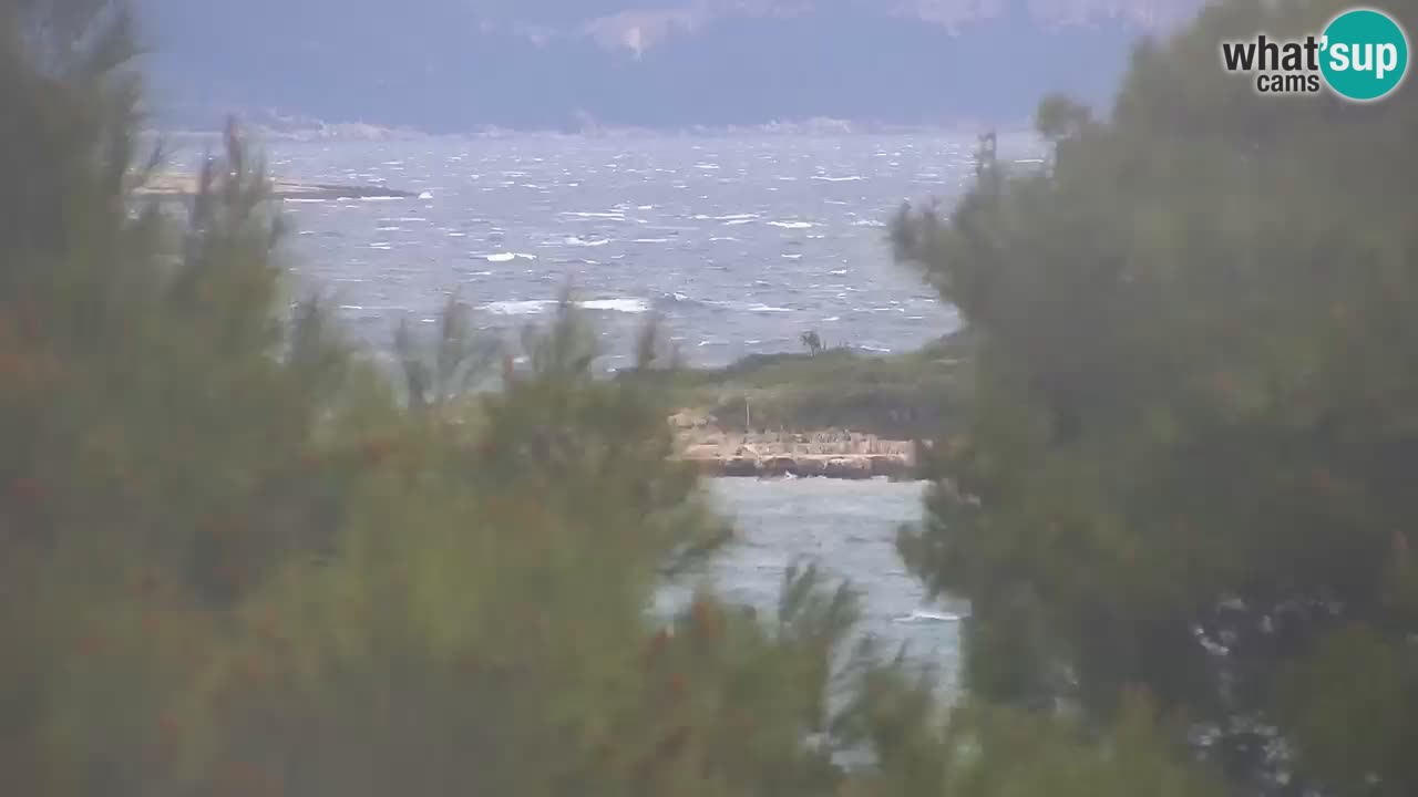 Lumbarda resort Webcam Korčula