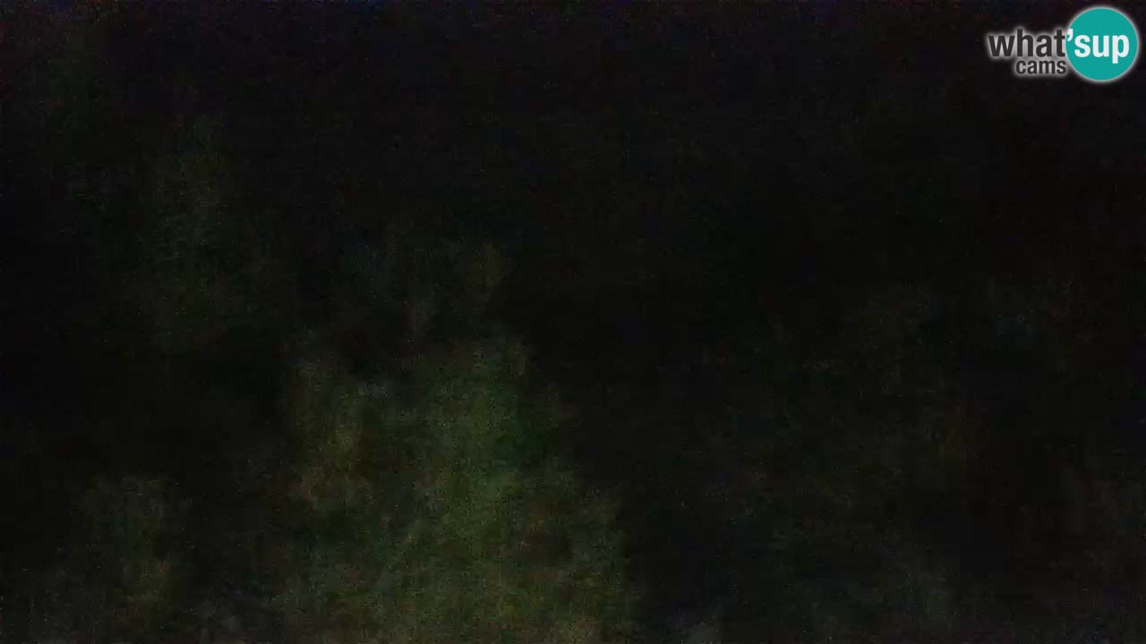 Lumbarda Resort live cam Curzola