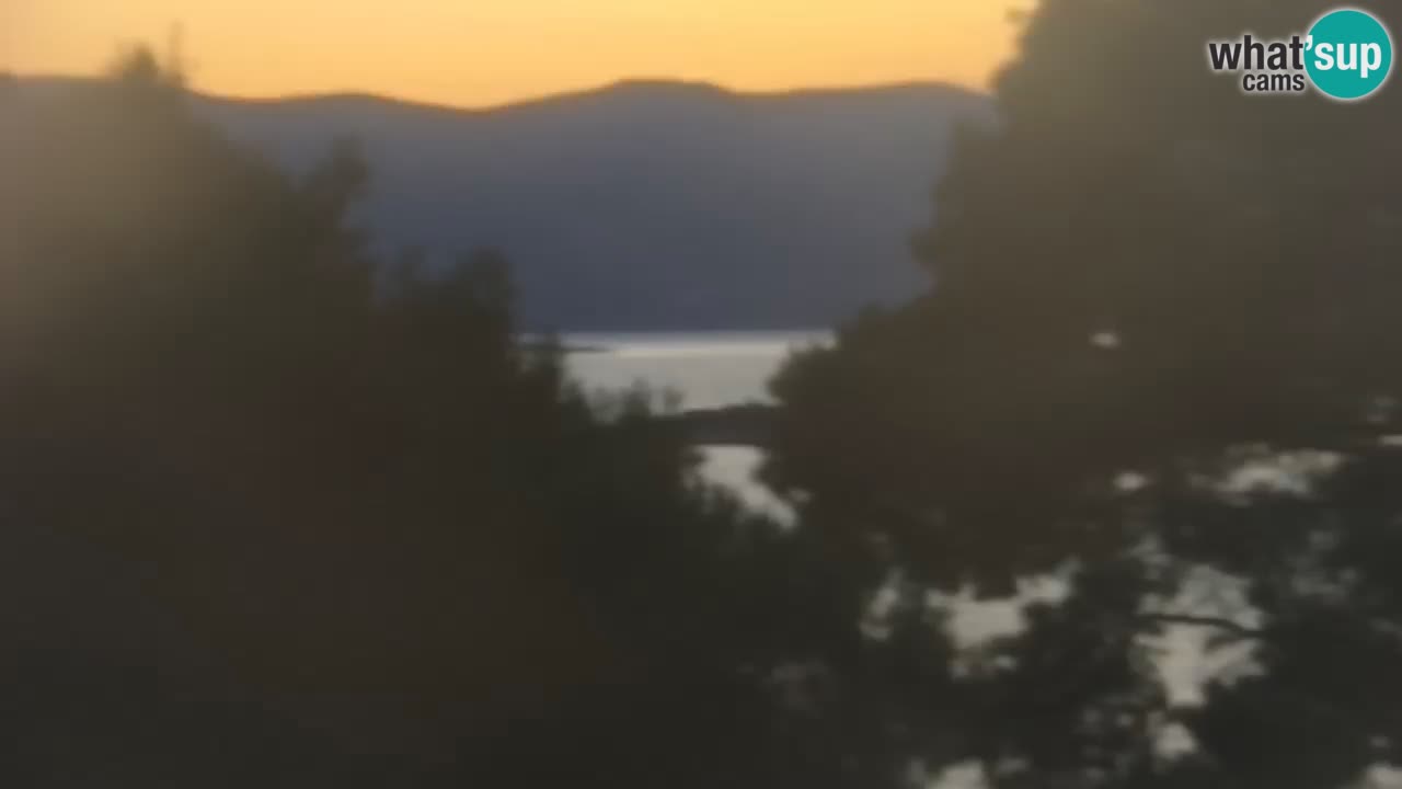 Lumbarda resort Webcam Korčula