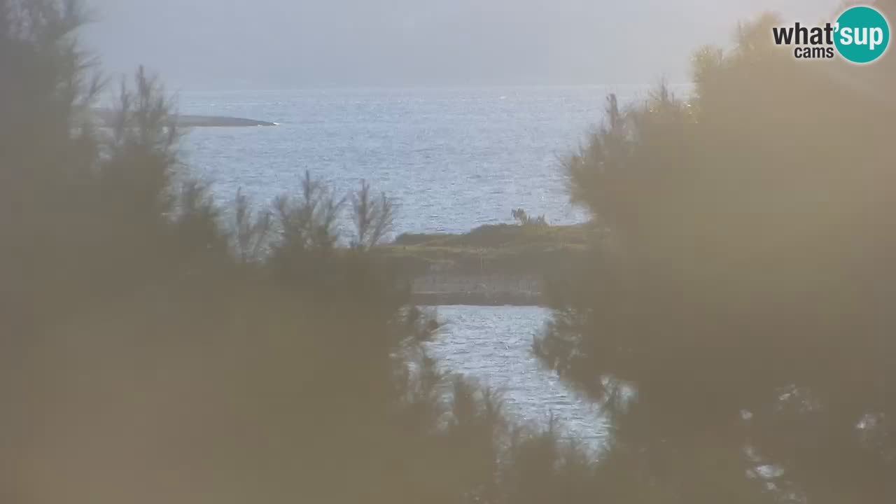 Lumbarda Resort webcam Kurzel