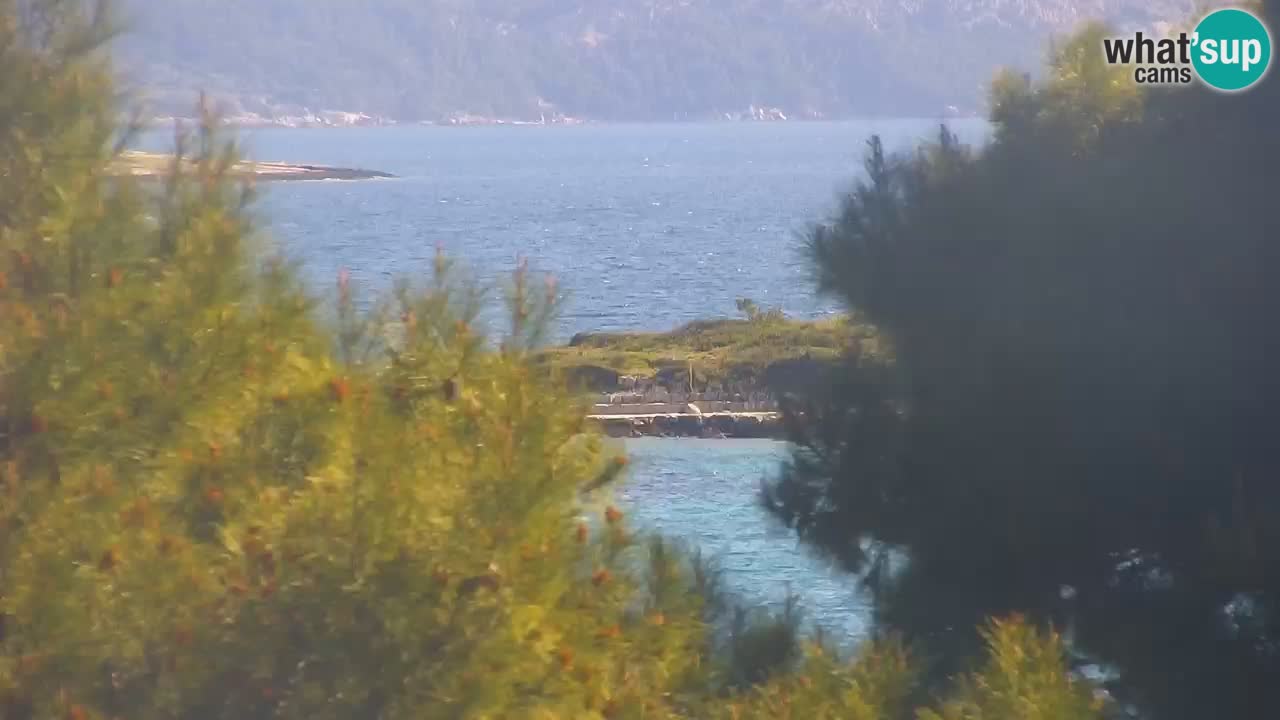 Lumbarda Resort camera en vivo Korčula