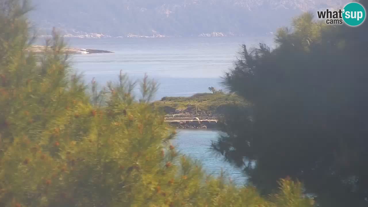 Lumbarda resort Spletna kamera Korčula