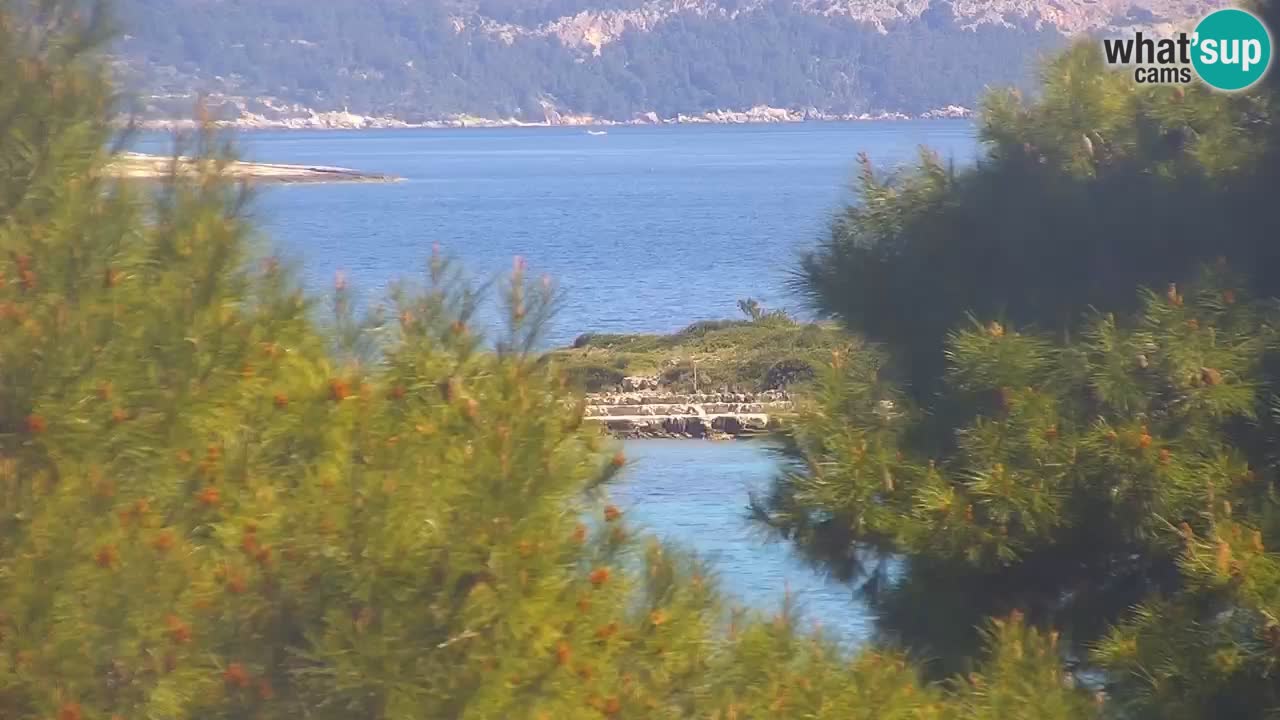 Lumbarda resort – livecam Korčula