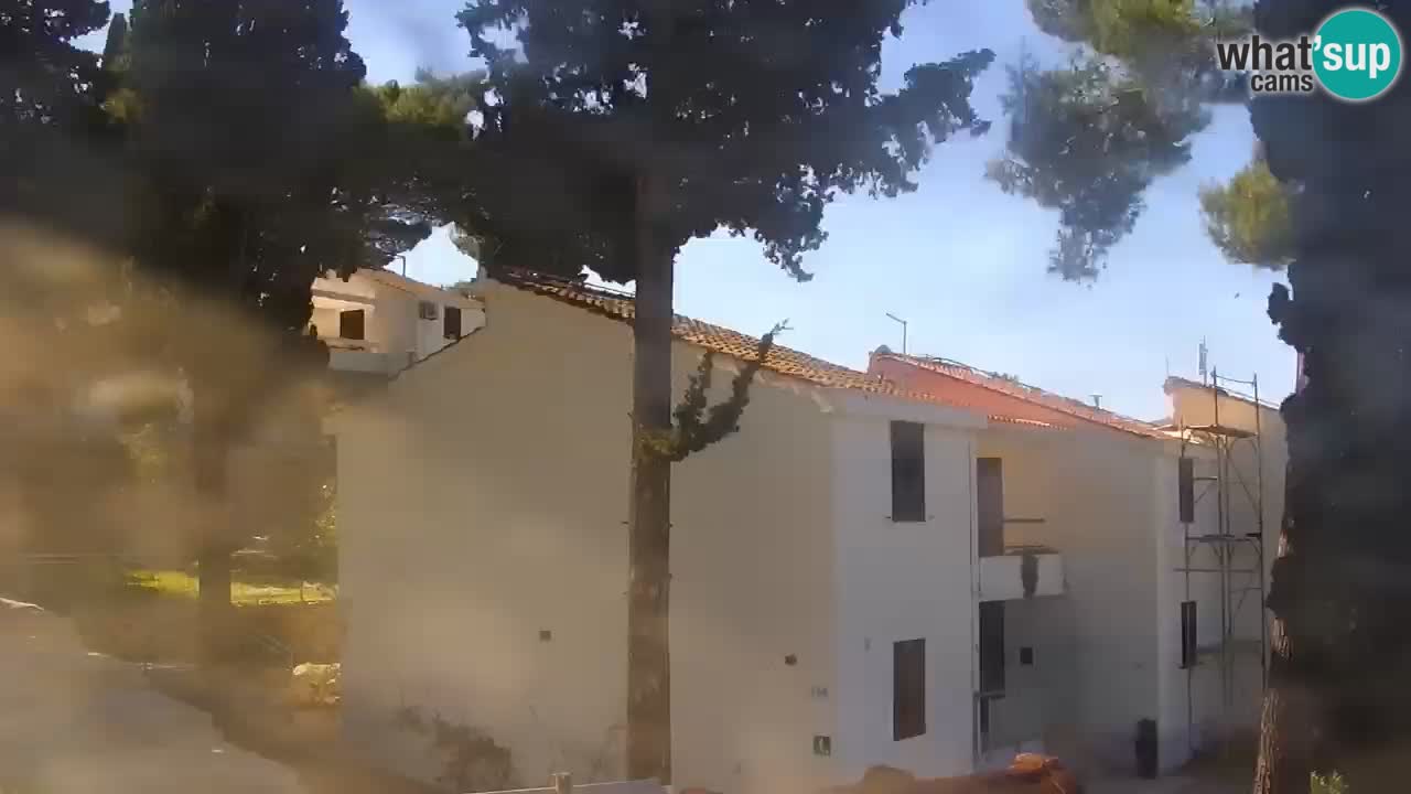 Lumbarda resort Spletna kamera Korčula