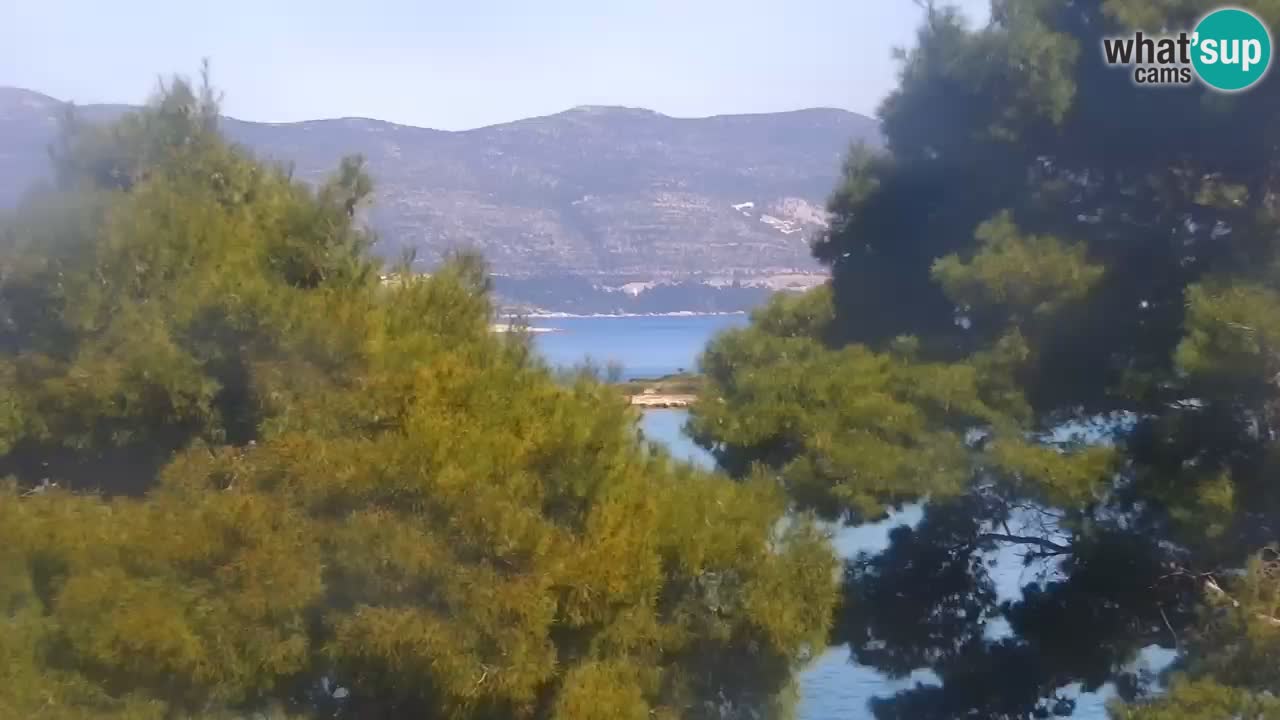 Lumbarda Resort live cam Curzola