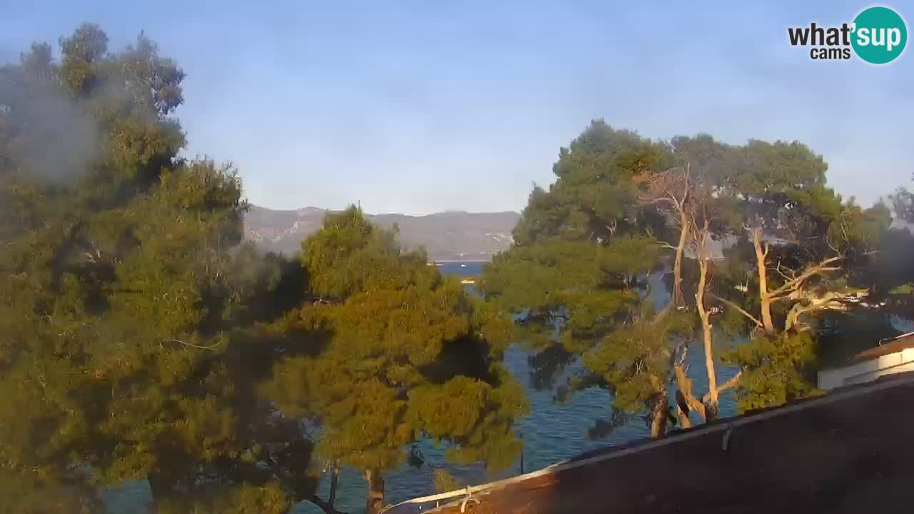 Lumbarda Resort camera en vivo Korčula