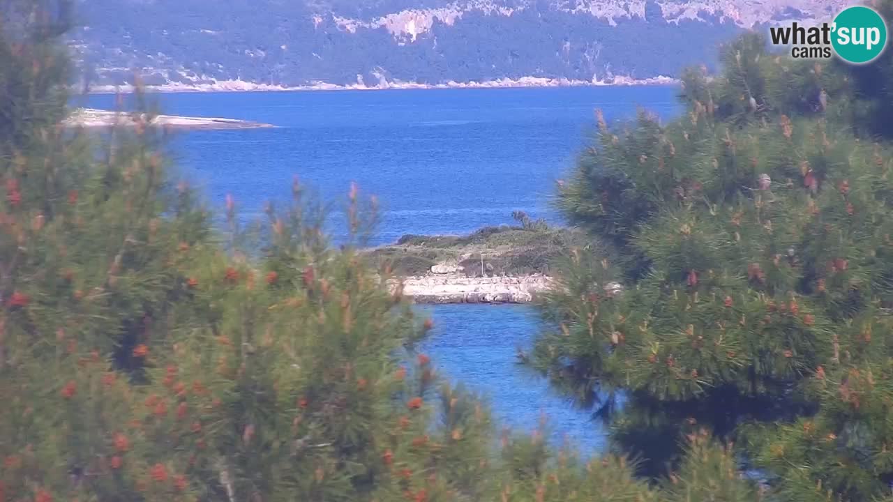 Lumbarda resort Webcam Korčula