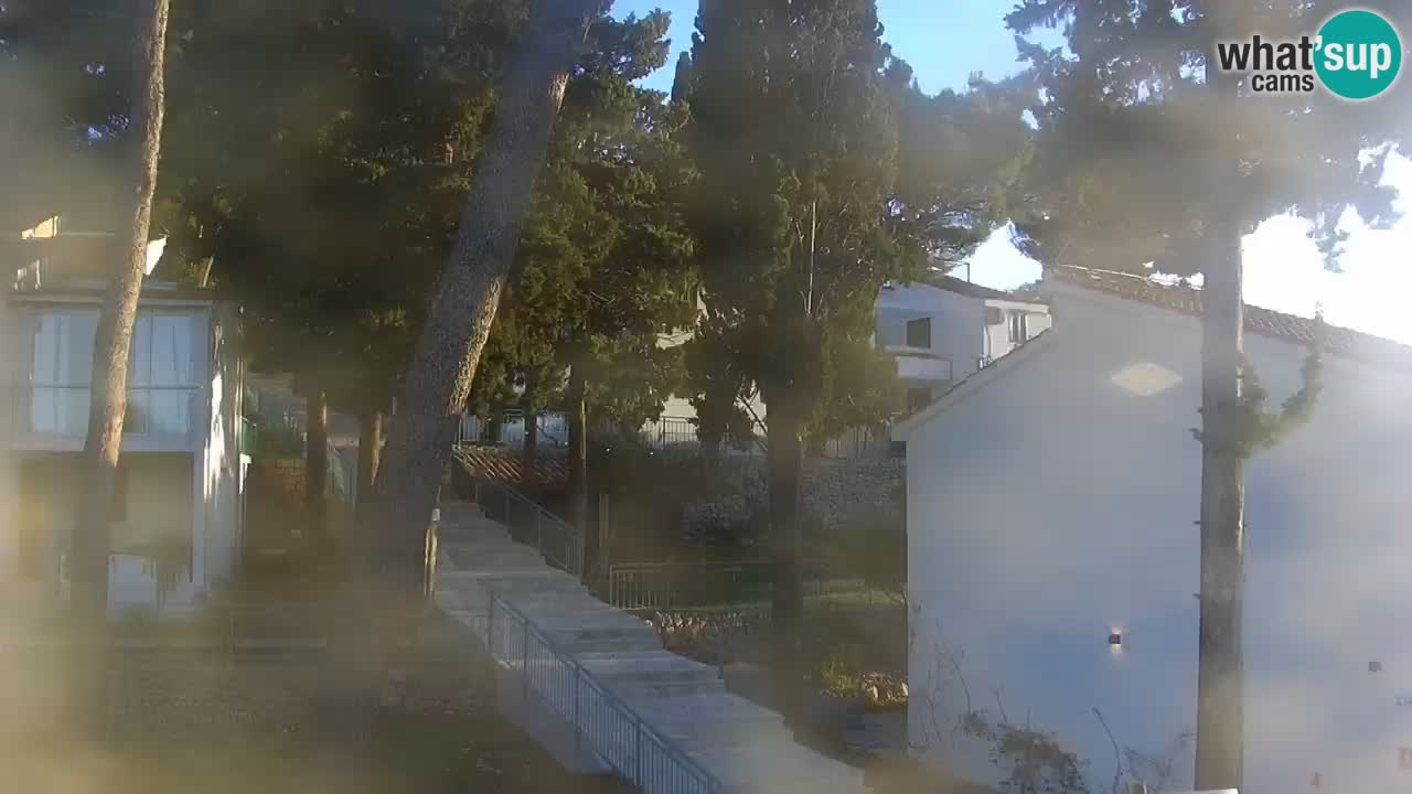 Lumbarda resort Spletna kamera Korčula