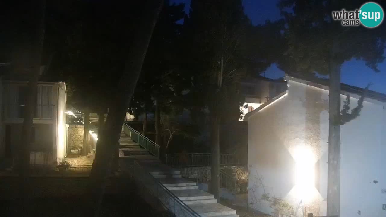 Lumbarda resort Webcam Korčula