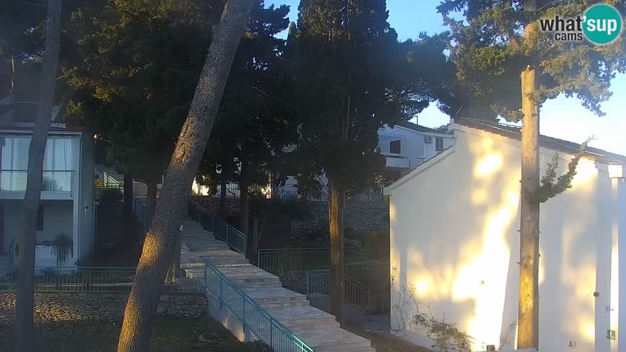 Lumbarda resort Webcam Korčula