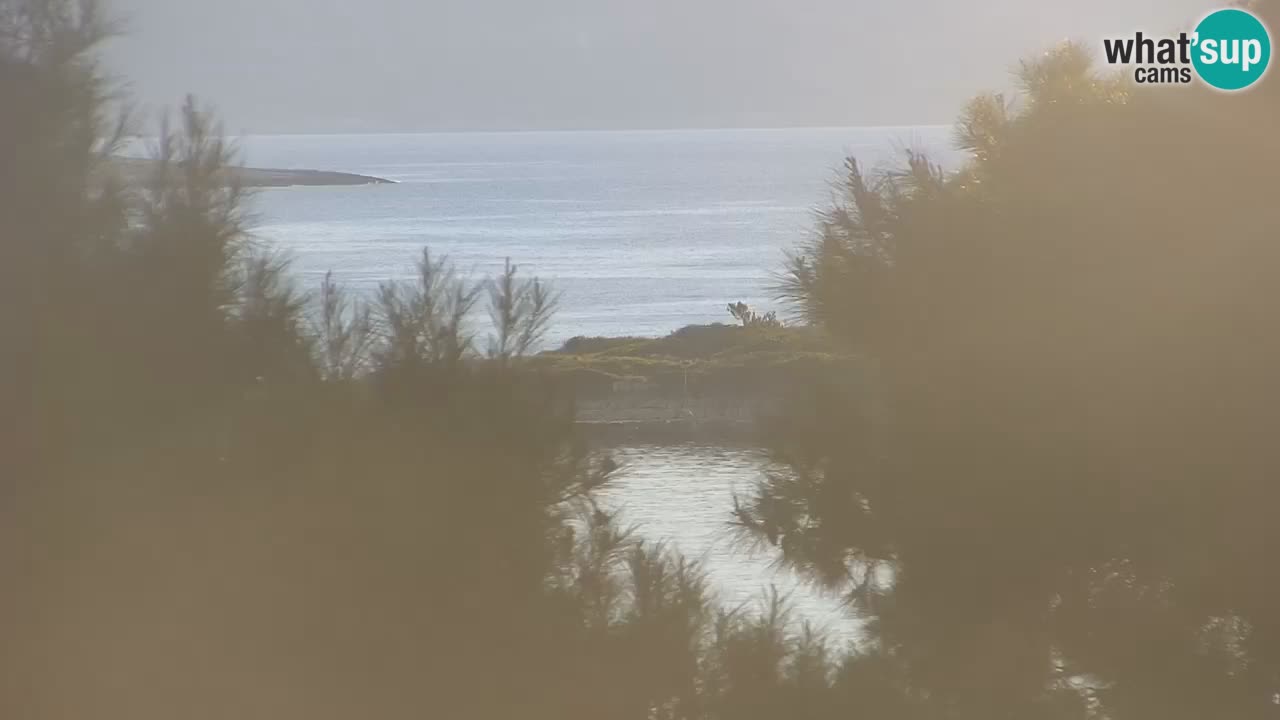 Lumbarda resort – livecam Korčula