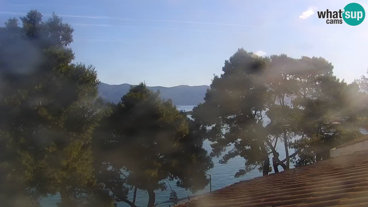 Lumbarda resort – livecam Korčula