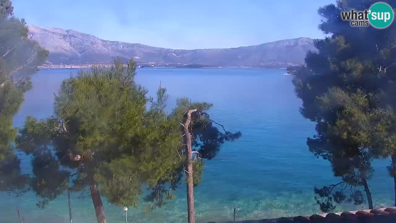 Lumbarda resort Webcam Korčula