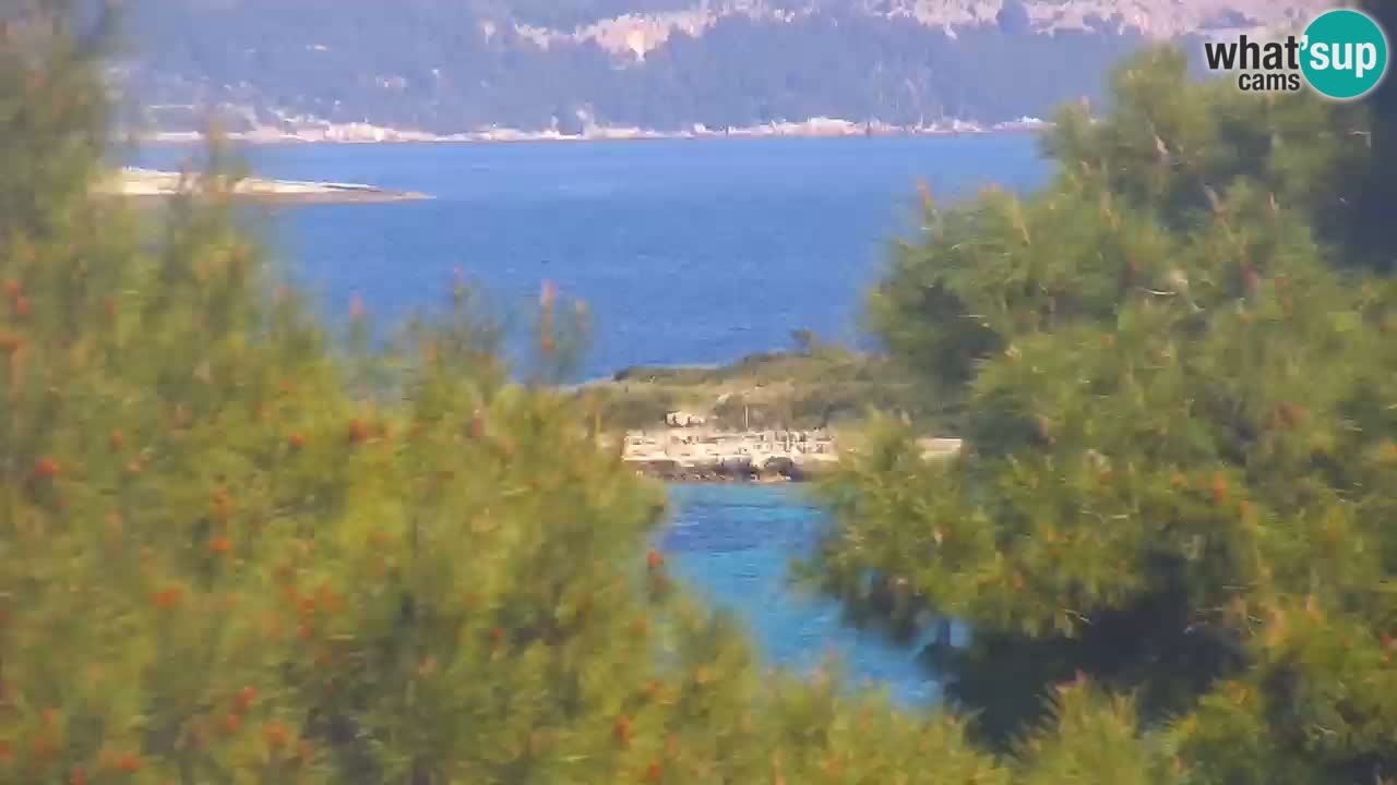 Lumbarda resort – livecam Korčula