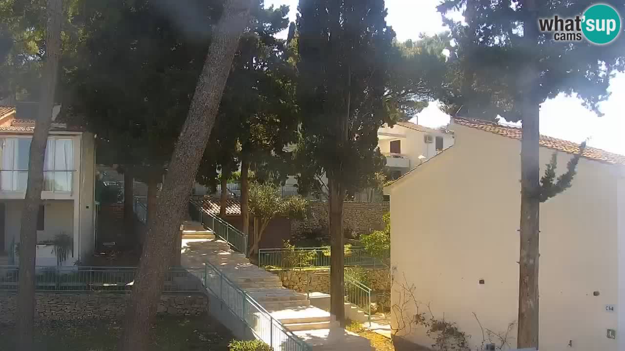 Lumbarda resort Webcam Korčula