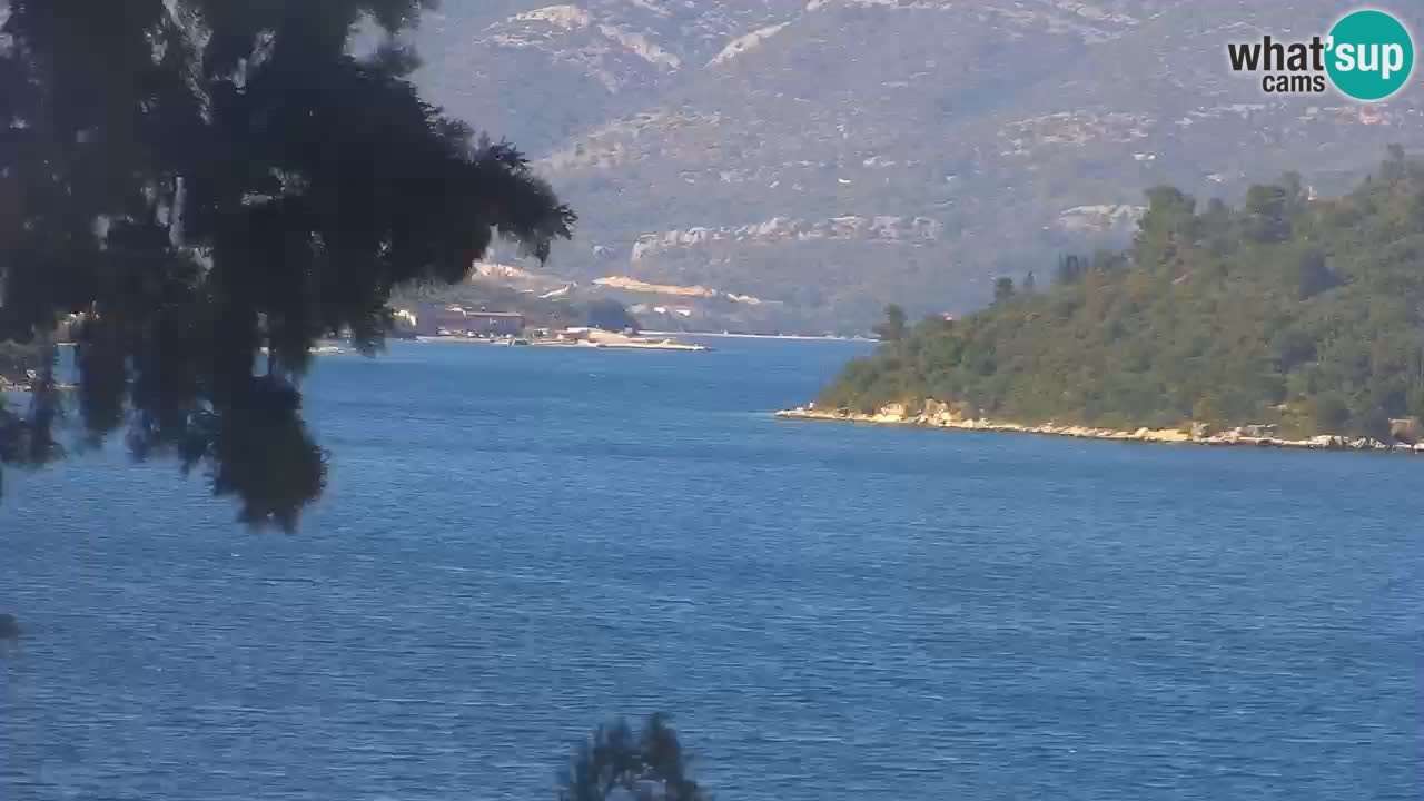 Lumbarda Resort camera en vivo Korčula