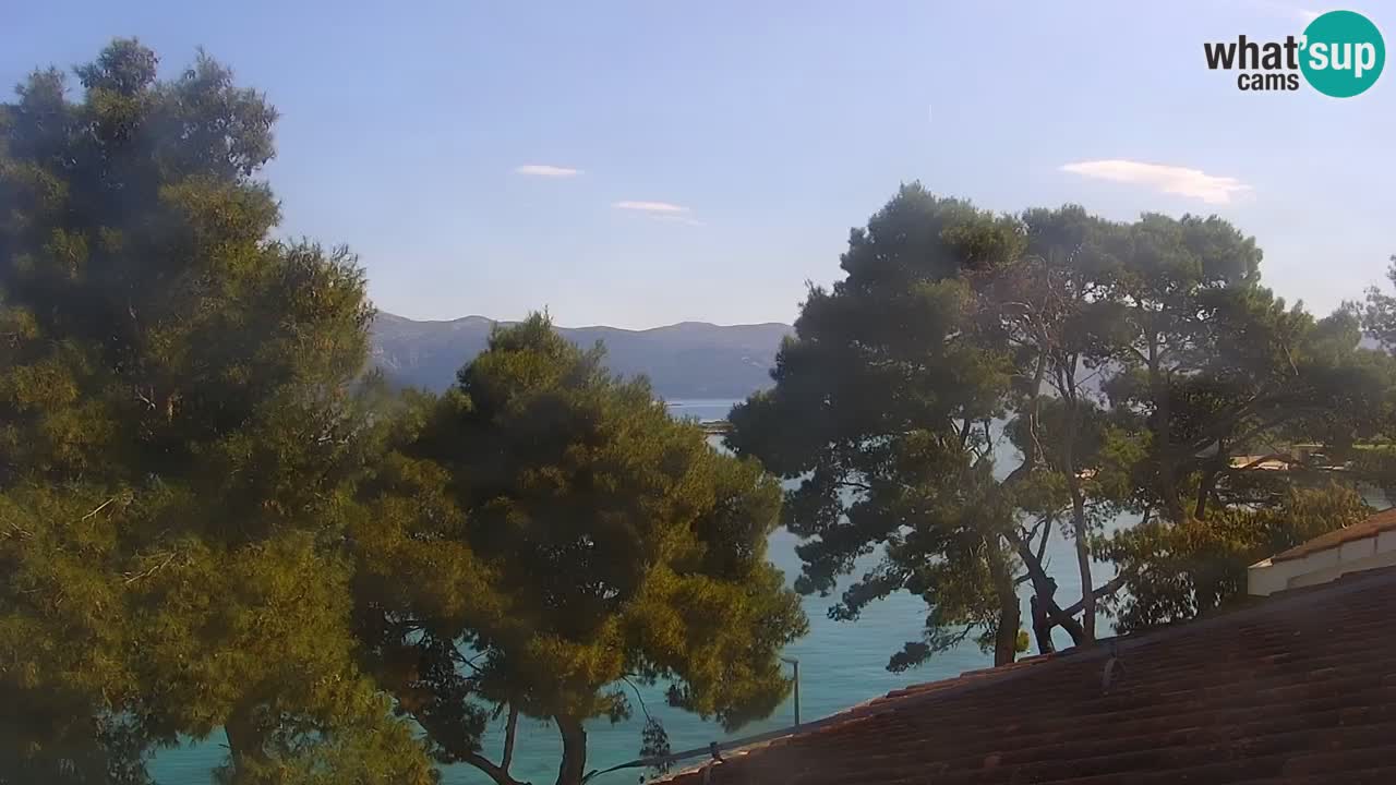 Lumbarda Resort live cam Curzola