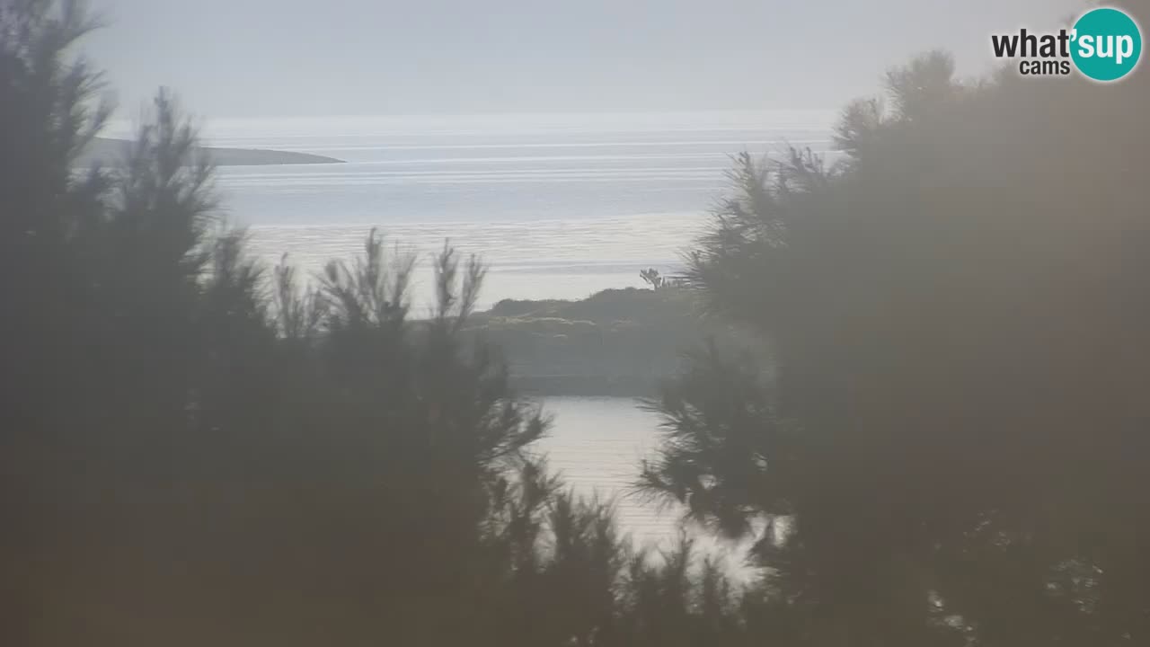 Lumbarda Resort camera en vivo Korčula