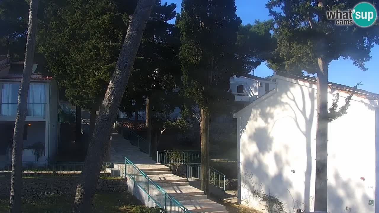 Lumbarda resort Webcam Korčula