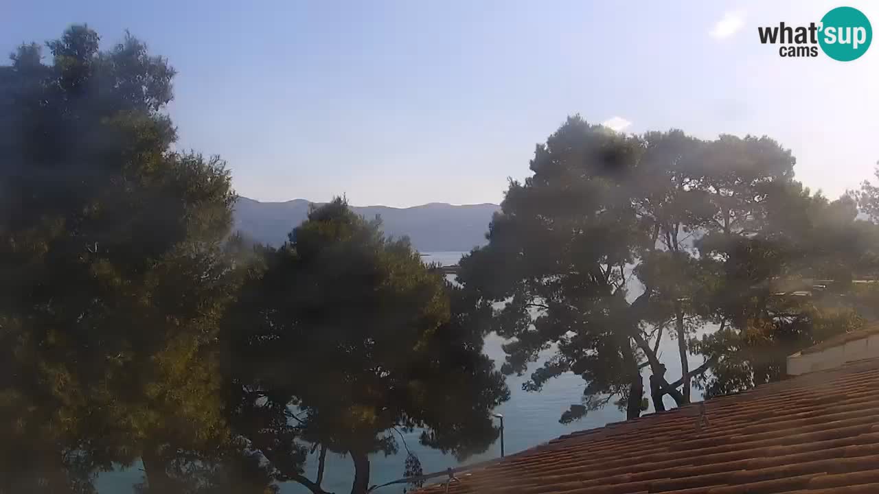 Lumbarda Resort camera en vivo Korčula