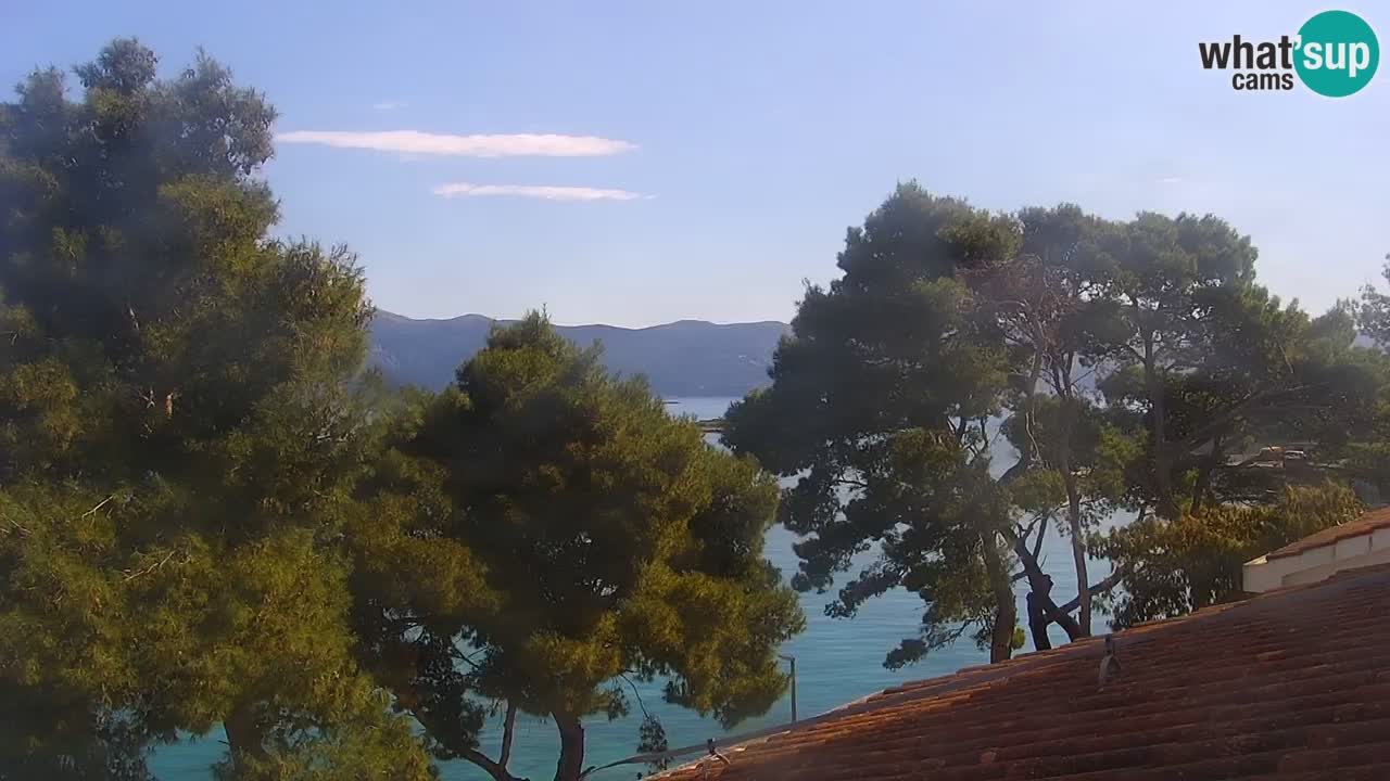 Lumbarda resort Webcam Korčula