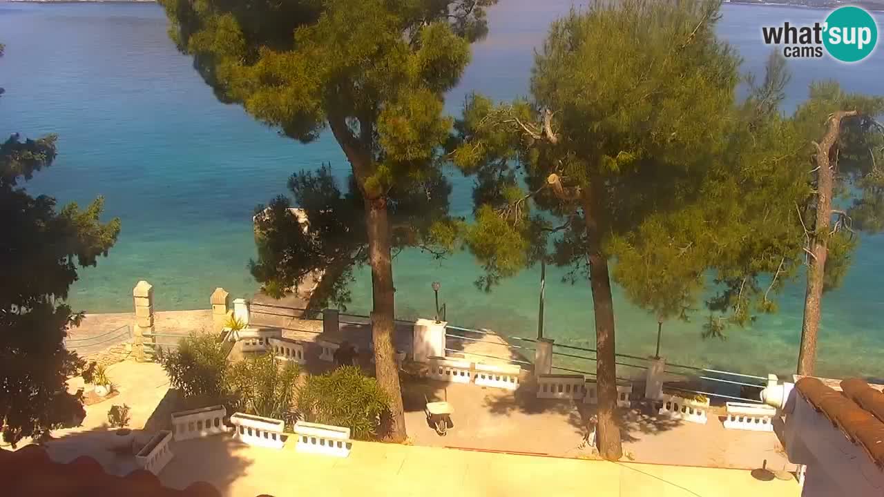 Lumbarda resort Spletna kamera Korčula