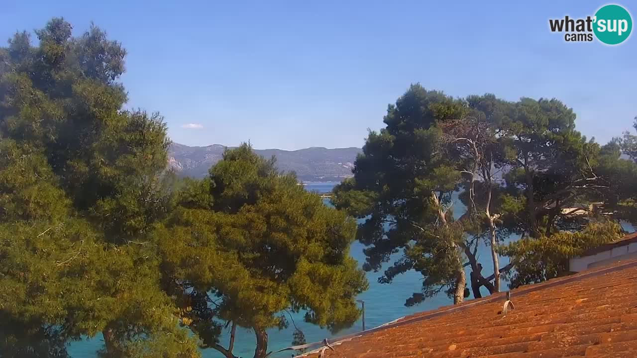 Lumbarda Resort live cam Curzola