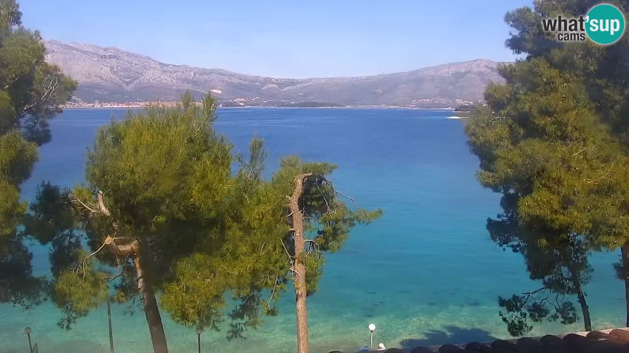 Lumbarda resort Spletna kamera Korčula
