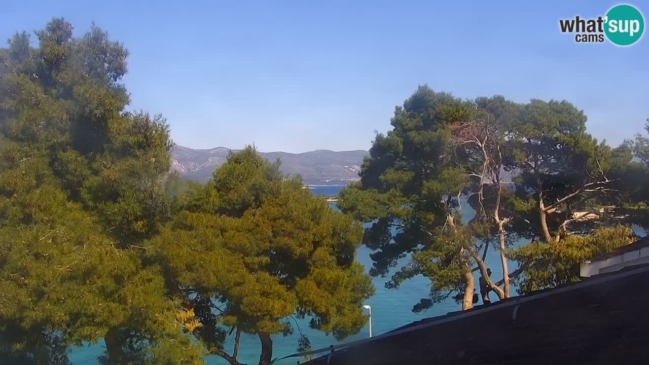 Lumbarda Resort camera en vivo Korčula