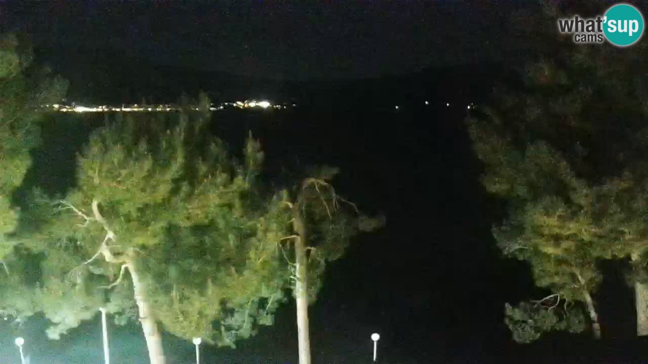 Lumbarda resort Webcam Korčula